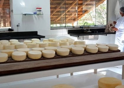 Na véspera do Dia Mundial do Queijo, Emater divulga dados inéditos da produção familiar em Minas
