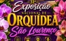31ª Exposição Nacional de Orquídeas promete encantar visitantes em São Lourenço